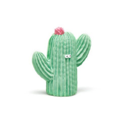 Mordedor Chicco Refreshing 1 Ud. Cactus