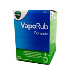 Vaporub pomada 1 frasco 100 g